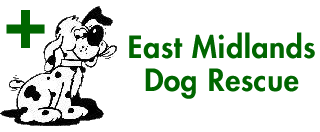 East Midlands Dog Rescue